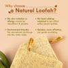 Nat Habit Natural Sun-Dried Bath Loofah Body Scrubber, 4 Count view 3