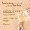Nat Habit Natural Sun-Dried Bath Loofah Body Scrubber, 4 Count view 4
