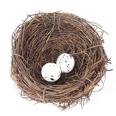 Artificial Bird Nest