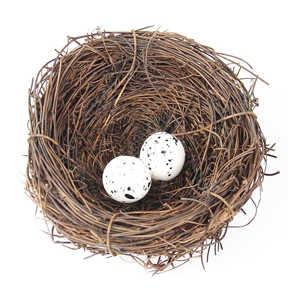 Artificial Bird Nest