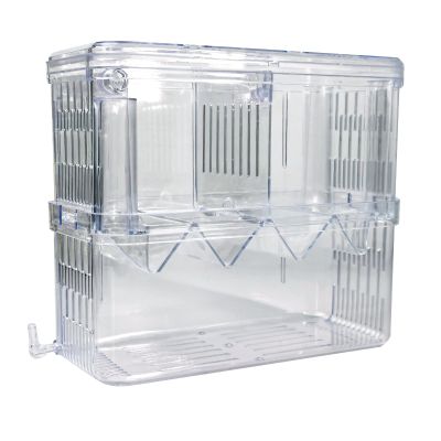 Gittcoll Acrylic Fish Breeding Box, Double-Layer Aquarium Isolation Tank with Suction Cups, Large