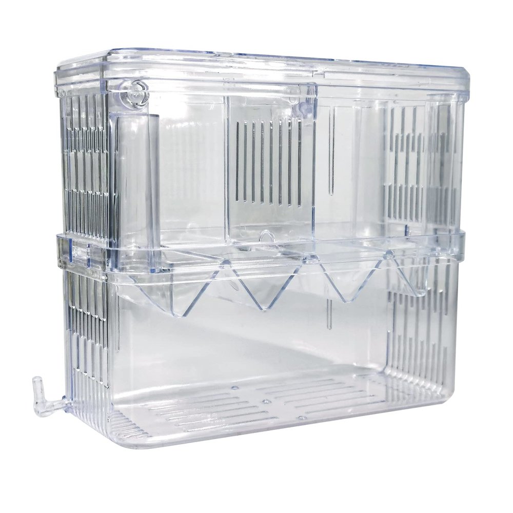 Gittcoll Acrylic Fish Breeding Box, Double-Layer Aquarium Isolation Tank with Suction Cups, Large