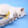 4 Pcs Bunny Kicker Cat Toy view 2