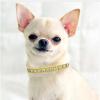 FNSK Shiny Diamond Rhinestone Harness and Collar, Faux Leather Strap for Puppies and Cats (Silver 2, M) view 3