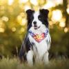 2-Pack Dog Bandanas for Small, Medium, and Large Dogs, Puppies, and Cats view 3
