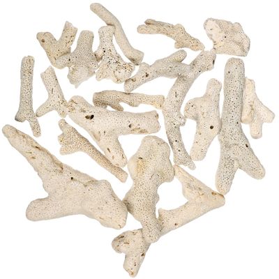 Zerodeko 500 g Coral Stone Aquarium Filter Media, Aquarium Filter Material and Tank or Pond Decoration for Freshwater and Saltwater Aquariums (Random Color)