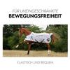 SUNRIDE Fly Sheet for Horses (Miami) - Detachable Neck Cover, Classic Walking Pleat, UV Protection, Breathable, Adjustable Belly and Leg Straps - White (135 cm) view 4