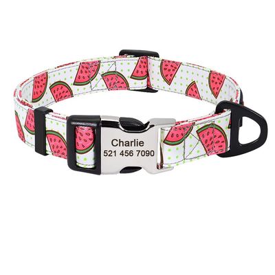 Nylon Dog Collar with Custom Engraved ID Tag, S/M/L
