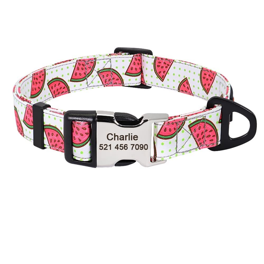 Nylon Dog Collar with Custom Engraved ID Tag, S/M/L