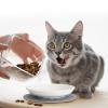 Thenshop Cat Bowls for Whisker Comfort, 6 Ceramic Plates with Non-Slip Silicone Mats view 2