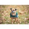Shires Digby & Fox Waterproof Dog Coat, Size XL view 2