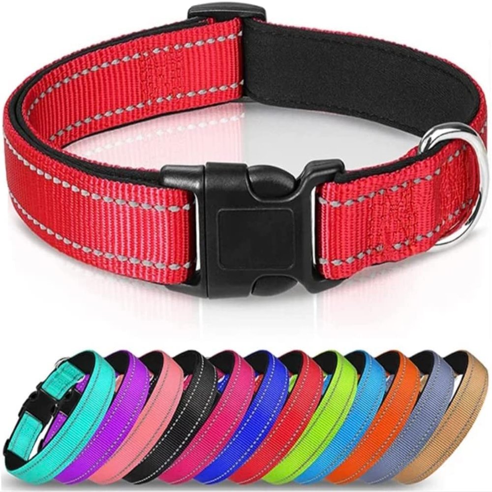 Dog Collar, Size S-L, Adjustable, Reflective, Stylish Design, Safety (L, Orange)
