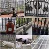 Safety Mesh Net for Balconies, Railings, Stairs, Children, and Pets view 2