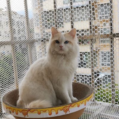 Balcony Safety Net for Cats, Children, and Pets