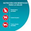 PURINA ONE Bifensis Sterilized Cat Food for Adults, Beef and Wheat, 6 Bags, 1.5 kg view 3