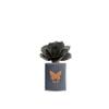 MUHA' | Art Diffuser, Cedar and Bergamot, 100 ml view 1