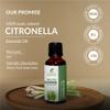 Sheer Essence Citronella Essential Oil, 118 ml, 100% Pure and Natural, Therapeutic Oil with Premium Glass Dropper view 3