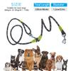 Hands-Free Dog Leash for Running, Walking, Training view 3