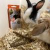 duvoplus, Small Animal Treats, 70 g, 10 Pieces view 4