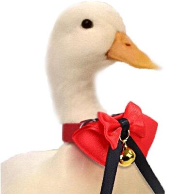 Danlai Adjustable Chicken Blanket Bow Tie