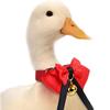 Danlai Adjustable Chicken Blanket Bow Tie view 1
