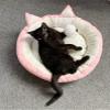 Sophie Plush Cat Bed with Pom-Pom, Orthopedic Relief view 4