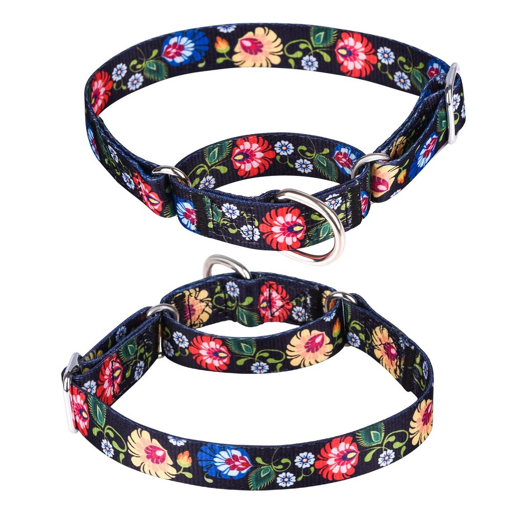 haoyueer Martingale Dog Collar, Durable Nylon, Adjustable, XL 53–62 cm, Black