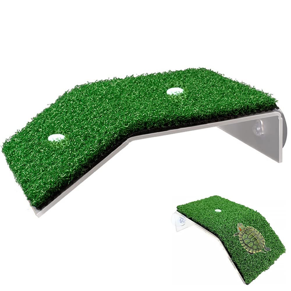 Voarge Turtle Platform for Small Reptiles