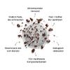 No Coffee Premium Organic Decaf Coffee | Water-Decaffeinated Coffee Beans | Caffeine-Free Ground Coffee | Decaf, 18 Pods (1 Pack) view 2