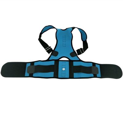Back Support Lumbar Brace Posture Corrector for Women and Men, XXL