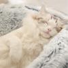 SEDOXX Donut Cave Cat Bed, Round Plush Pet Bed, 50 cm view 4