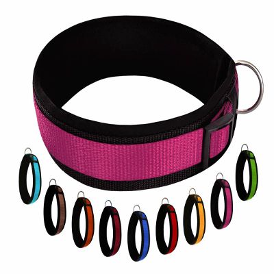 Buddypack Wide, Softly Padded Dog Collar (Pink-Black, M/L)