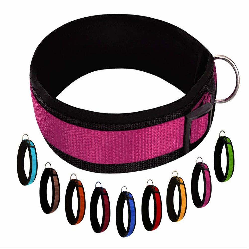 Buddypack Wide, Softly Padded Dog Collar (Pink-Black, M/L)
