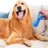 Blue Dog Pacifier Toy view 2