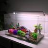 VOCOSTE Artificial Plastic Grass Ball for Aquarium Decoration, 1 Piece view 2