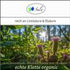 Sala Organic Burdock Root Active Oil Arctium lappa 1 L, 1000 ml Glass Bottle view 2