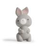 Ingenuity Sylvi Natural Rubber Teether, BPA-Free, for Babies 3+ Months, Multisensory view 1