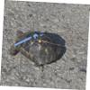 Mipcase Adjustable Turtle Leash view 4