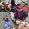 YuZiJiang Warm Winter Pet Sweater for Cats and Small Dogs view 2
