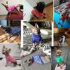 YuZiJiang Warm Winter Pet Sweater for Cats and Small Dogs view 3