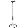 BiiKoon Quad Cane, Lightweight Stainless Steel, 9 Height Settings, 4-Leg Walking Stick view 1