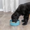 TRIXIE Blue Ceramic Dog Bowl, 400 ml, 13 cm view 4