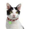 Custom Engraved Dog & Cat ID Tag, 25 x 25 mm, Blue view 2