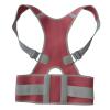 Adjustable Posture Corrector Back Support Belt for Men and Women (Blue, Large) view 4