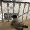 PHONME Universal Safety Net, Rope Net for Balconies, Railings, Stairs and Playgrounds, 5 cm × 6 mm, 1 × 6 m (3 × 20 ft) view 4