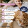 NutriLabs Felurit Powder 100 g for Cats with Glucosamine, D-Mannose and Cranberry view 3