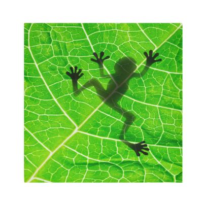 Cloth Napkin with Frog and Green Leaves, 1-Piece, Polyester, Washable and Reusable, 50.8 x 50.8 cm, Hemmed Edges
