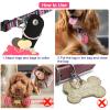 Pwsap 2-Pack Dog Tag Silencer, Rose Red view 3