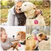Pwsap 2-Pack Dog Tag Silencer, Rose Red view 4