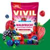 VIVIL Forest Fruits, Sugar-Free Multivitamin Candies, 15 x 120 g view 2